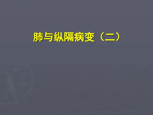 医学影像学：肺与纵隔病变(二)