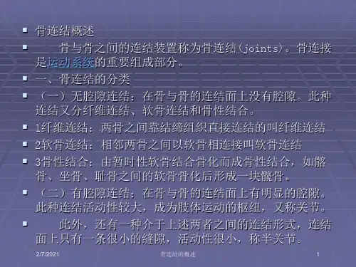 骨连结的概述培训课件