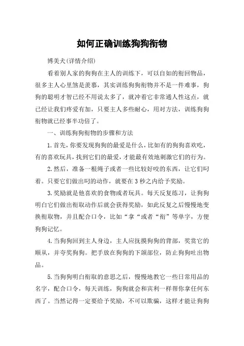 如何正确训练狗狗衔物