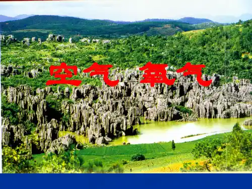 人教版初中化学复习课_空气和氧气 课件PPT