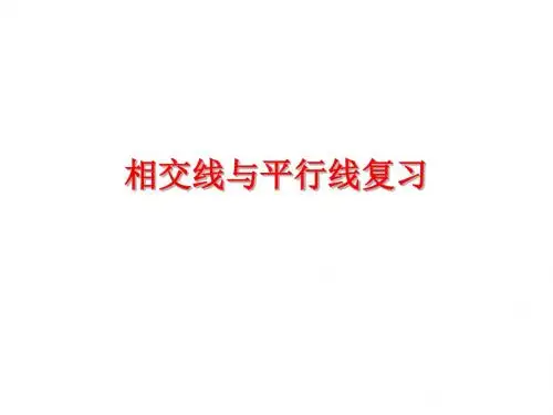 七年级下册数学期末总复习