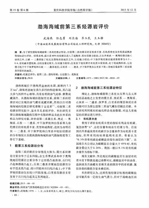 渤海海域前第三系烃源岩评价