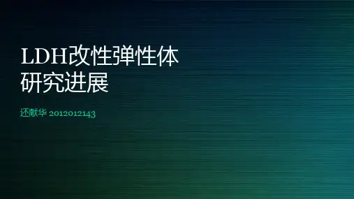 橡胶-LDH复合材料