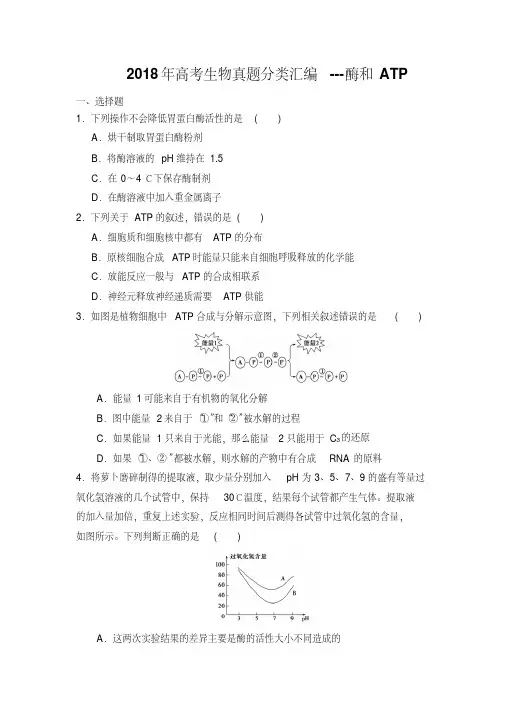 2018年高考生物真题分类汇编---酶和ATP