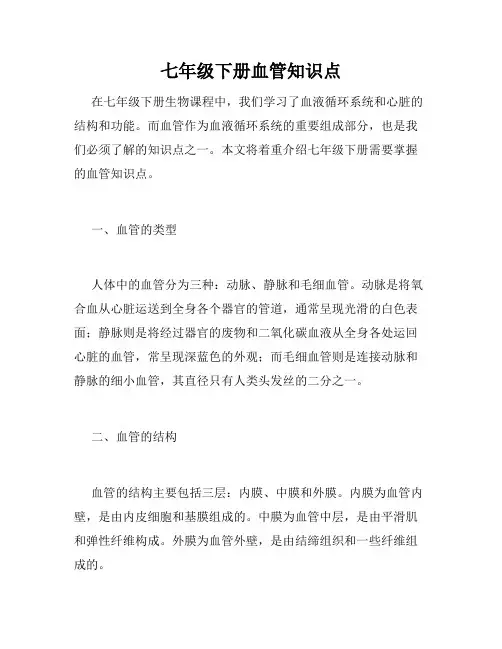 七年级下册血管知识点