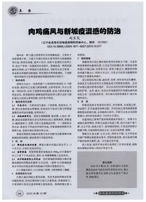 肉鸡痛风与新城疫混感的防治