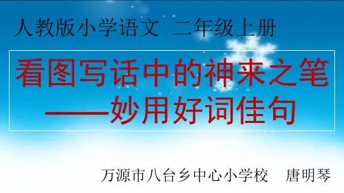 八台小学唐明琴微课《看图写话中的神来之笔——妙用好词佳句》剖析
