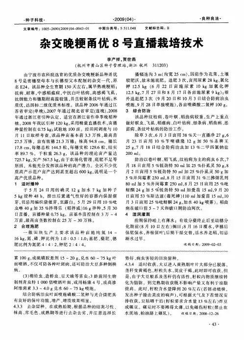 杂交晚粳甬优8号直播栽培技术