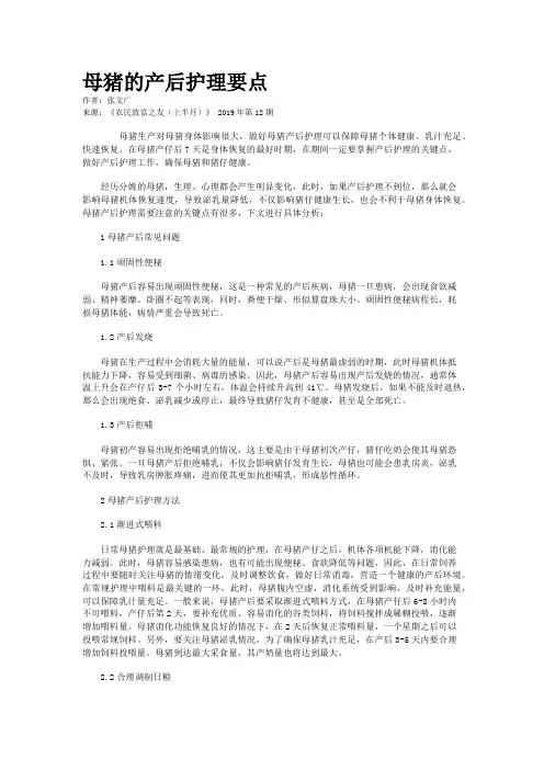 母猪的产后护理要点