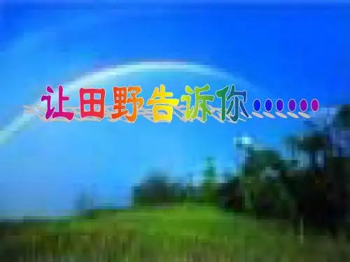 (科教版)六年级品德与社会上册课件PPT 让田野告诉你