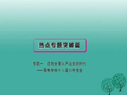安徽专用2019年中考政治总复习专题一迈向全面从严治党.ppt