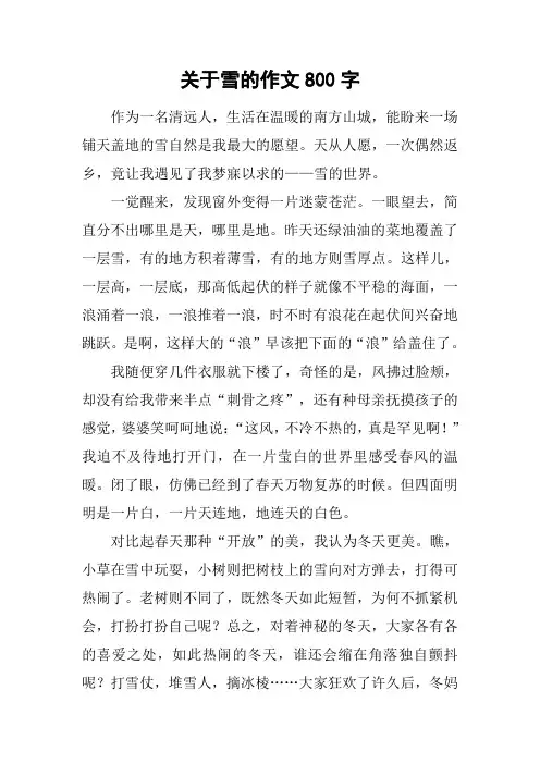 关于雪的作文800字_1