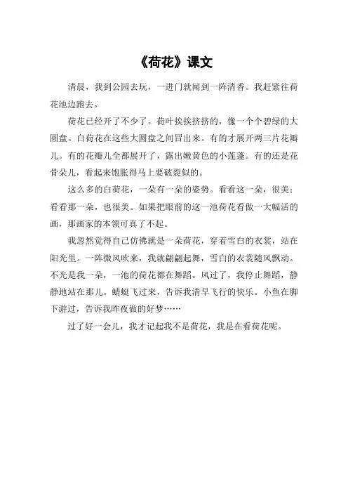 《荷花》课文_1