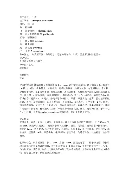 丁香