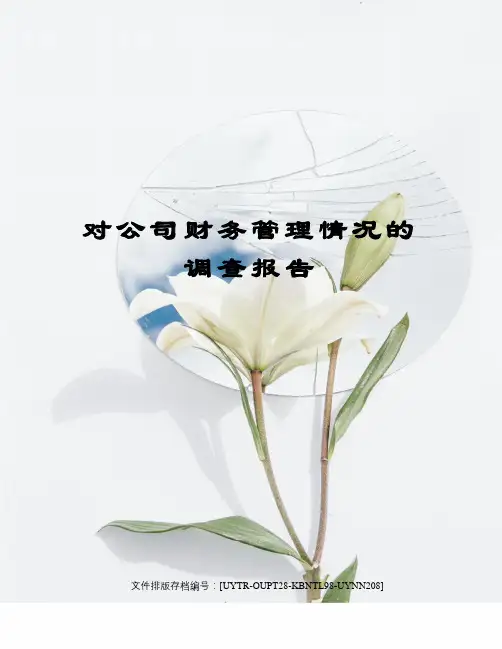对公司财务管理情况的调查报告