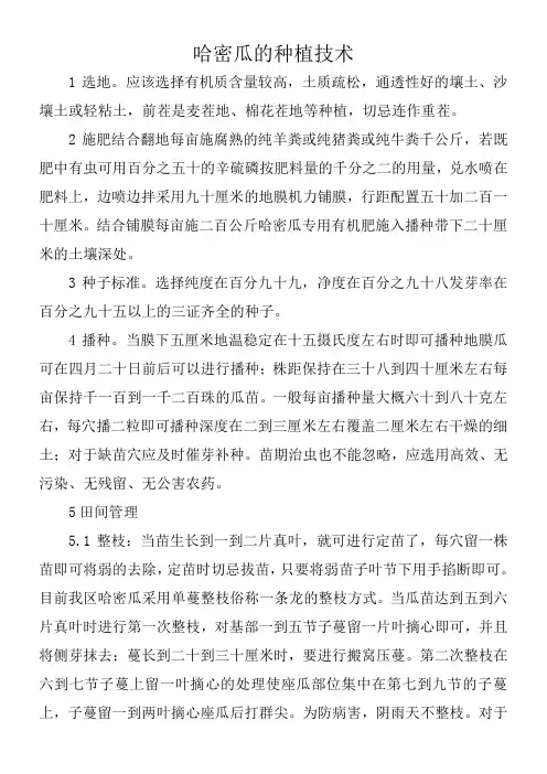 哈密瓜种植技术