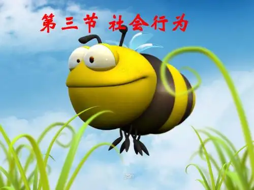 人教版八上生物第五单元第二章第三节社会行为(33张幻灯片)