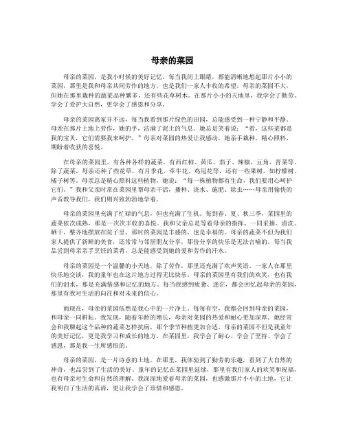 母亲的菜园