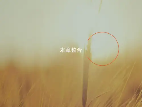 学考优化设计2017-2018学年高中生物必修1课件 ：本章整合2 精品