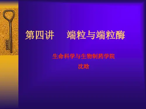 分子生物学 第四讲 端粒和端粒酶