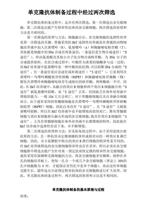 单克隆抗体制备知识点