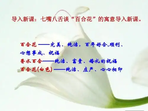小说家谈小说ppt