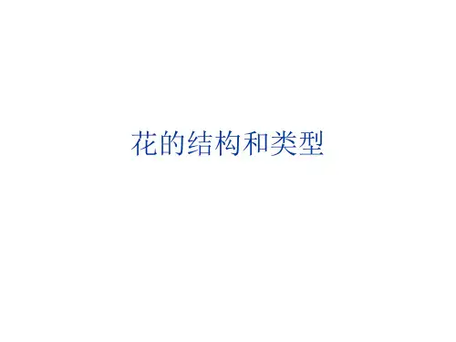 花的结构和类型PPT课件