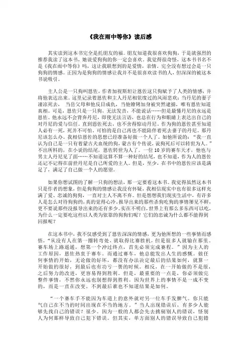 我在雨中等你 读后感