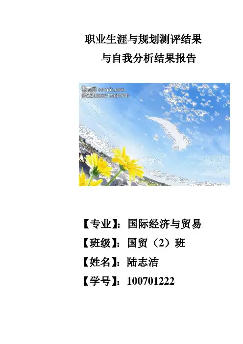 职业生涯与规划测评结果与自我分析结果报告