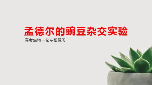 高三生物一轮复习遗传的分子基础精品PPT课件