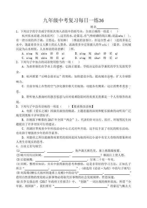 九年级中考复习每日一练36