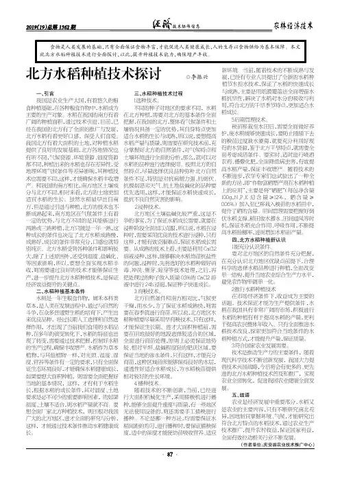北方水稻种植技术探讨