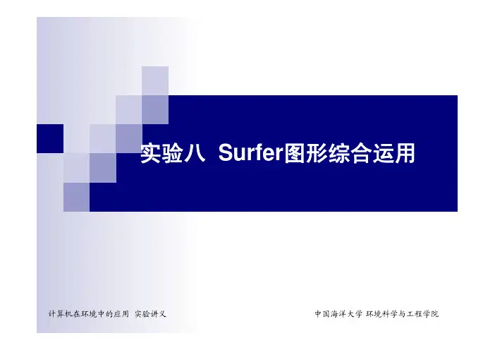 一定要看的surfer操作