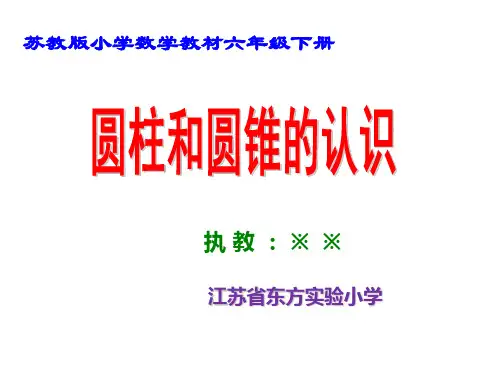 1圆柱和圆锥的认识(练习课)