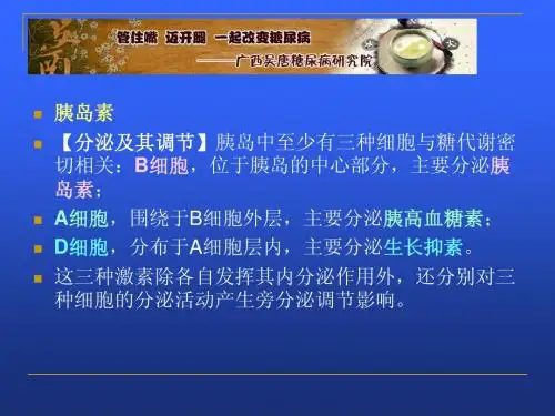 胰岛素的作用