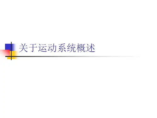 关于运动系统概述课件