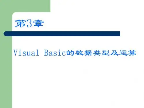 VisualBasic的数据类型及运算