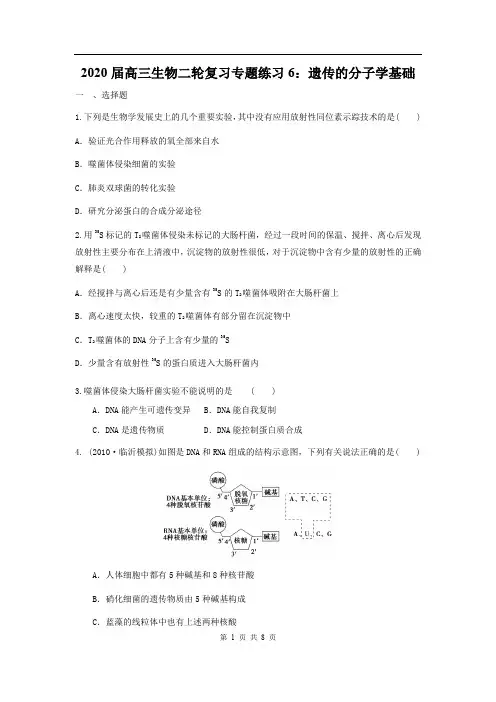 2020届高三生物二轮复习专题练习6：遗传的分子学基础