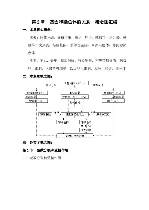 第2章 基因和染色体的关系 概念图汇编