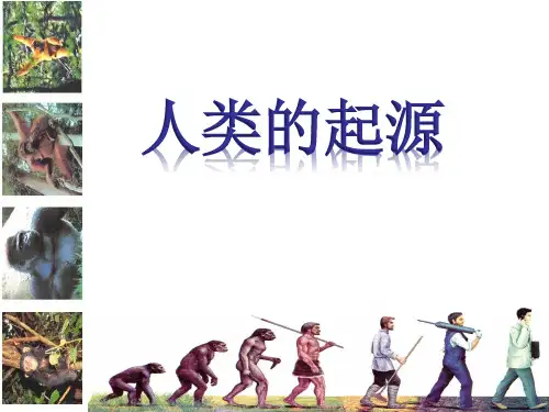 初中生物八年级下册第五单元 生命的演化第二章 人类的起源和进化第一节 人类的起源