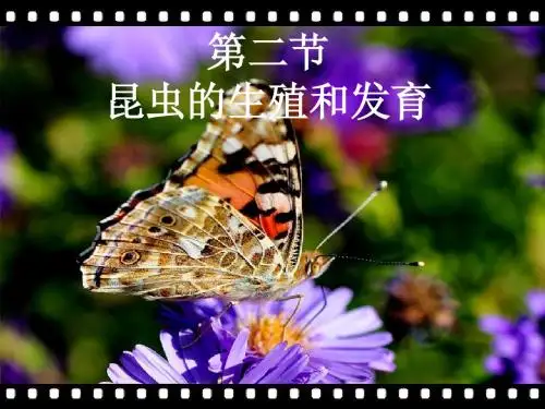 动物的生殖和发育