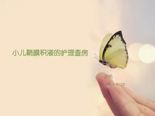 鞘膜积液的护理查房PPT参考幻灯片