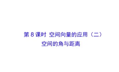 2019版高三新课标版_数学(理)总复习课件：第八章立体几何8-8
