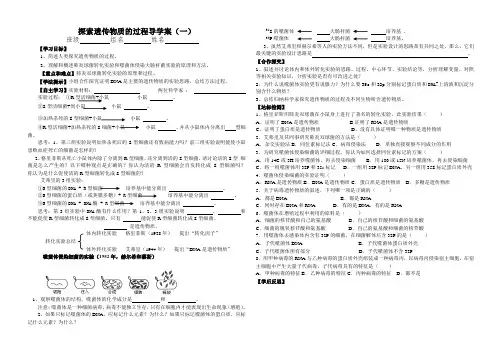 探索遗传物质的过程导学案(一)