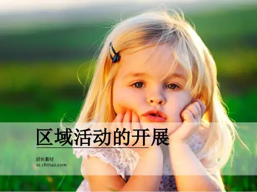 幼儿园区域活动的开展流程ppt课件