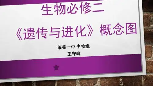 必修2《遗传与进化》概念图