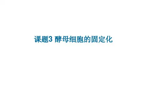 酵母细胞的固定化 ppt