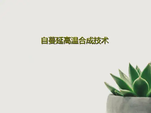 自蔓延高温合成技术36页PPT
