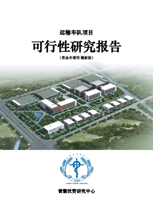 运输车队项目可行性研究报告资金申请用(最新版)