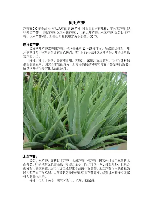 可食用芦荟